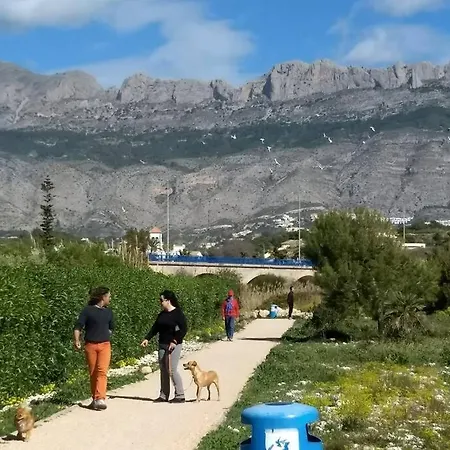Apartment Beachfront Apt! Ac - Pool - Parking Altea